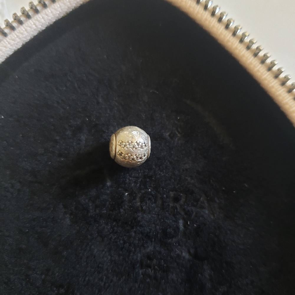 Pandora essence charm